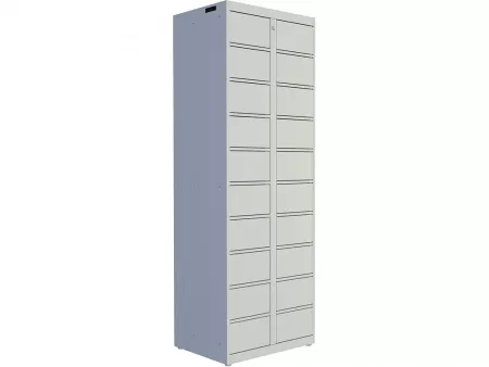 NLS - 20