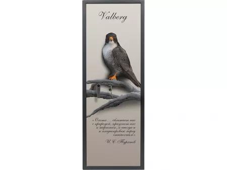 VALBERG САПСАН-4 PRINT